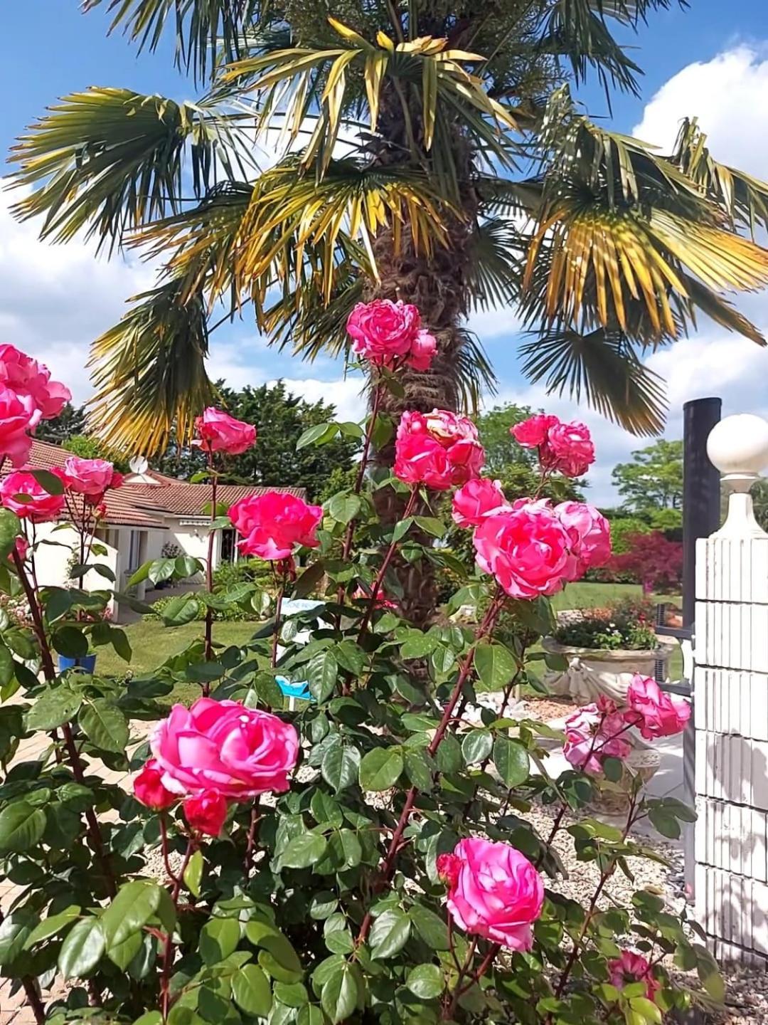 Bed and Breakfast Lagalerne Neuville-du-Poitou Esterno foto