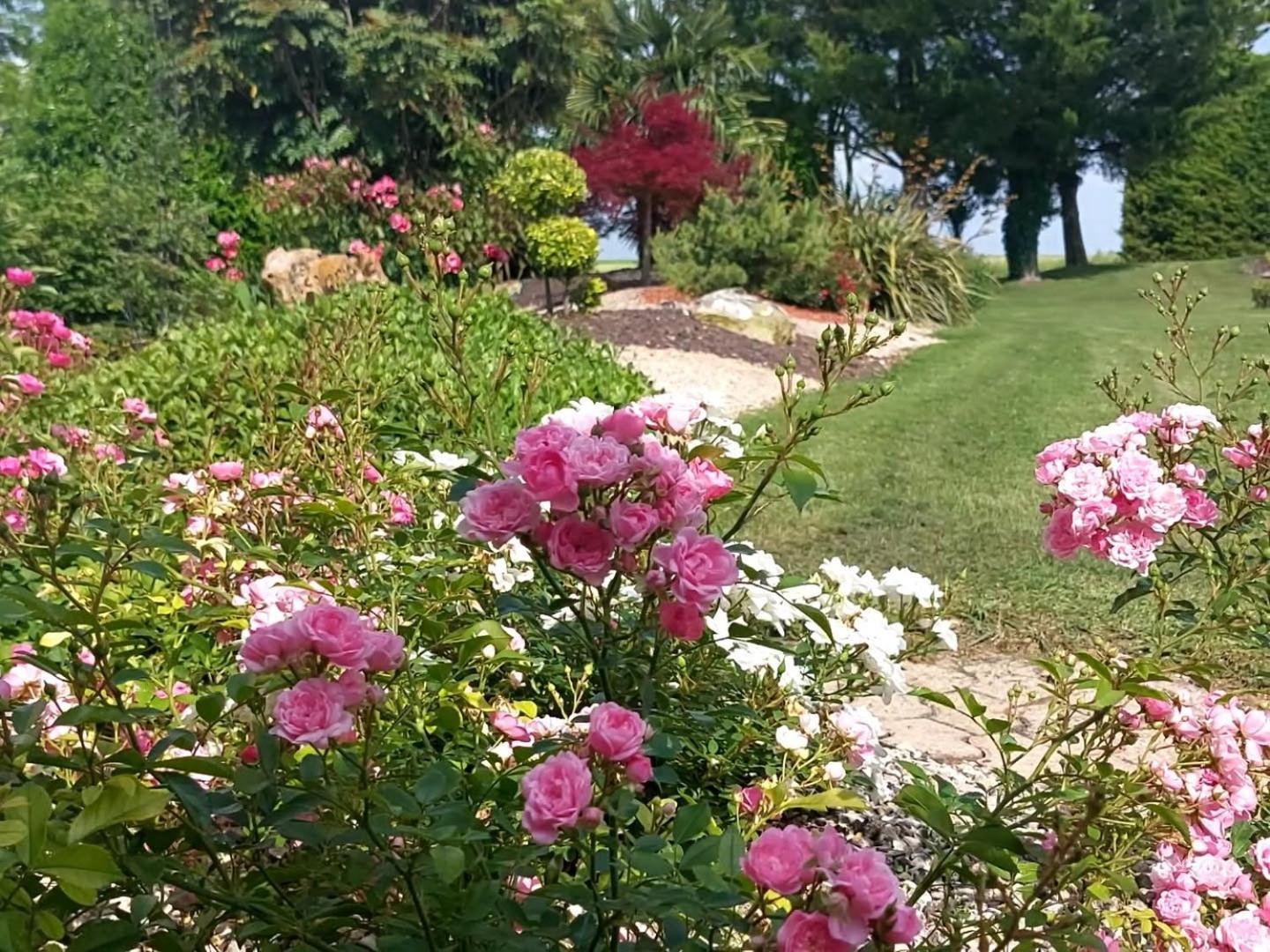 Bed and Breakfast Lagalerne Neuville-du-Poitou Esterno foto